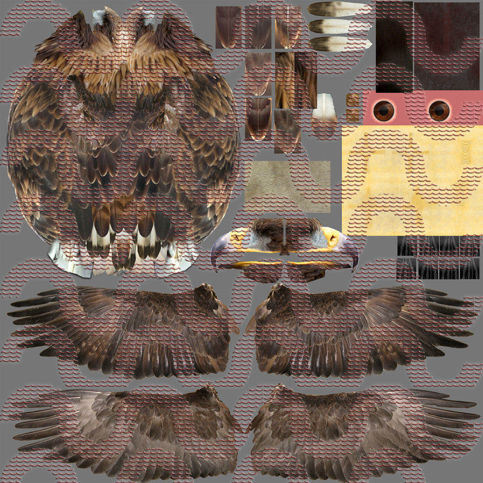 Golden Eagle - BLENDER 3D model_25