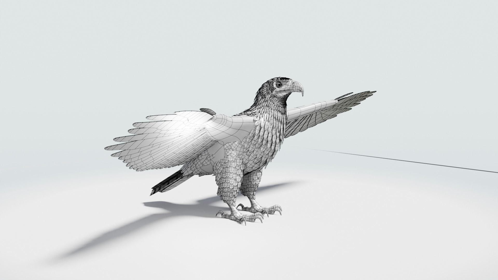 Golden Eagle - BLENDER 3D model_18