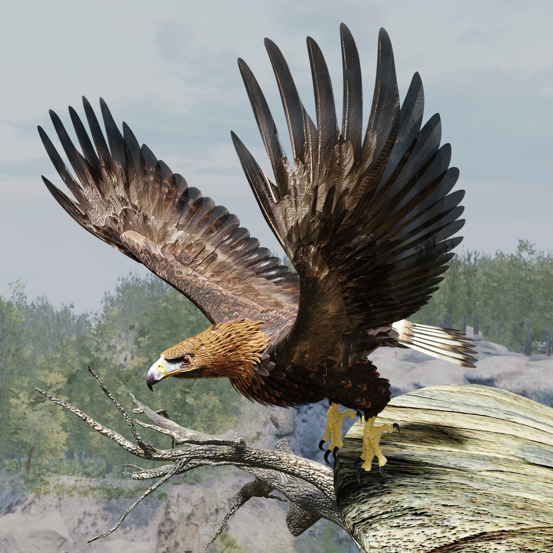 Golden Eagle - BLENDER 3D model_7