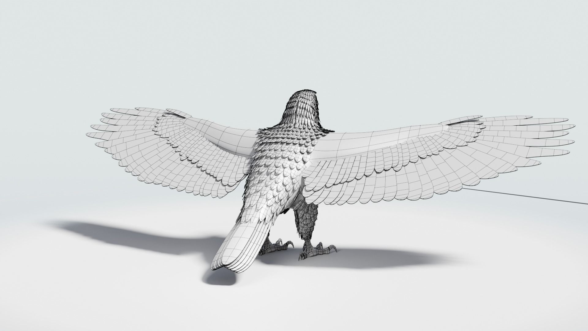 Golden Eagle - BLENDER 3D model_20