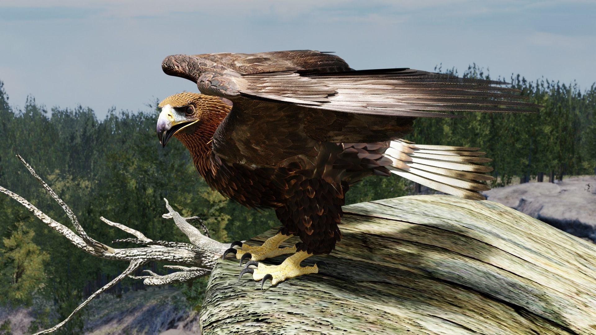 Golden Eagle - BLENDER 3D model_9