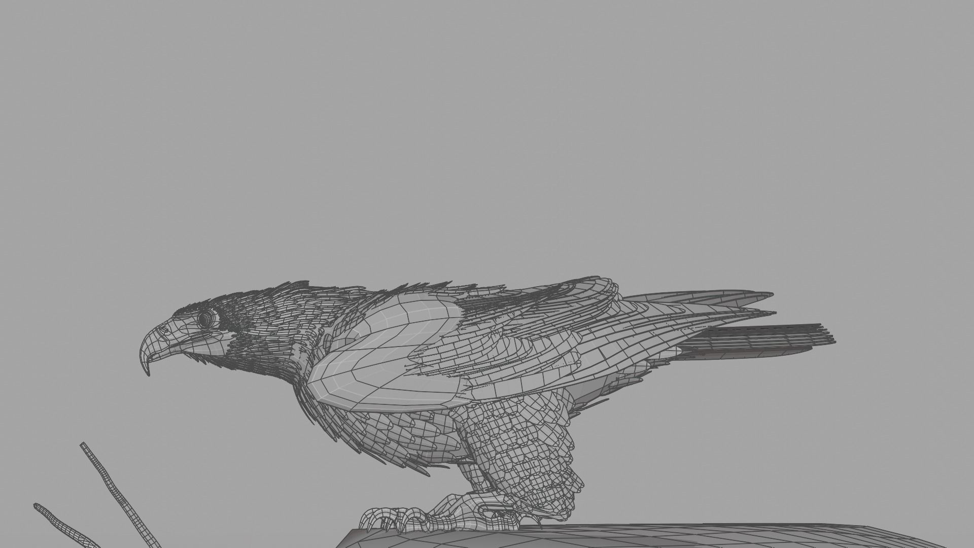 Golden Eagle - BLENDER 3D model_26