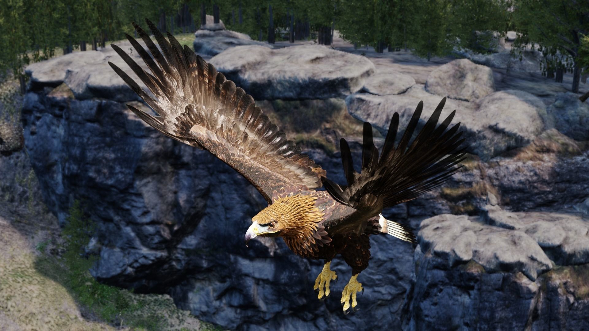 Golden Eagle - BLENDER 3D model_14