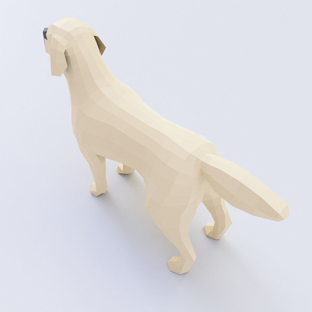 Dog 3d model labrador retriever Low-poly 3D model_2