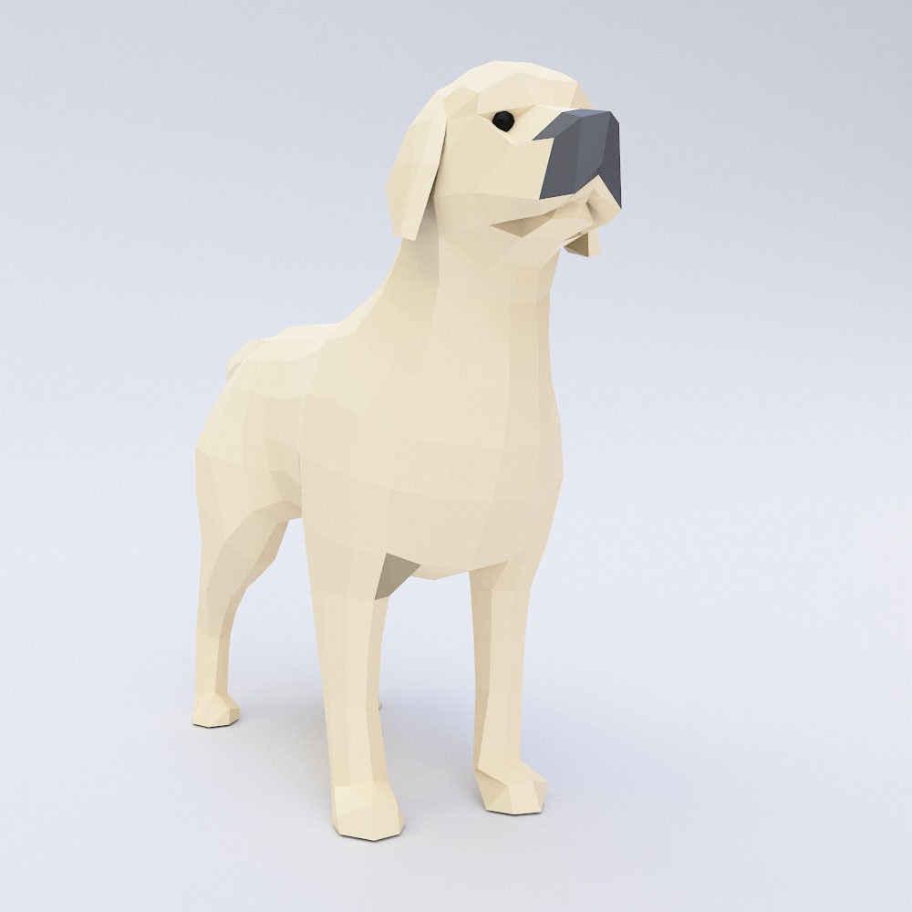 Dog 3d model labrador retriever Low-poly 3D model_1