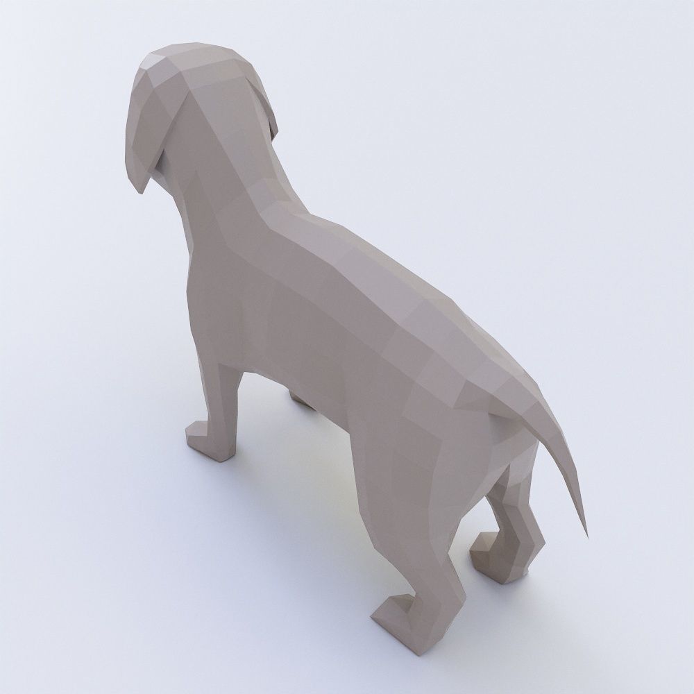 Puppy Dog 3d model  Low-poly 3D model_2