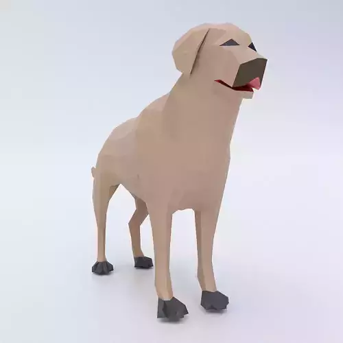 Dog 3d model labrador Low-poly 3D model
