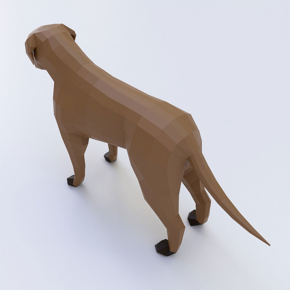 English mastiff Dog low poly 3d model  Low-poly 3D model_2