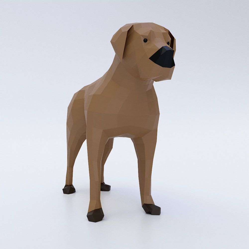 English mastiff Dog low poly 3d model  Low-poly 3D model_1