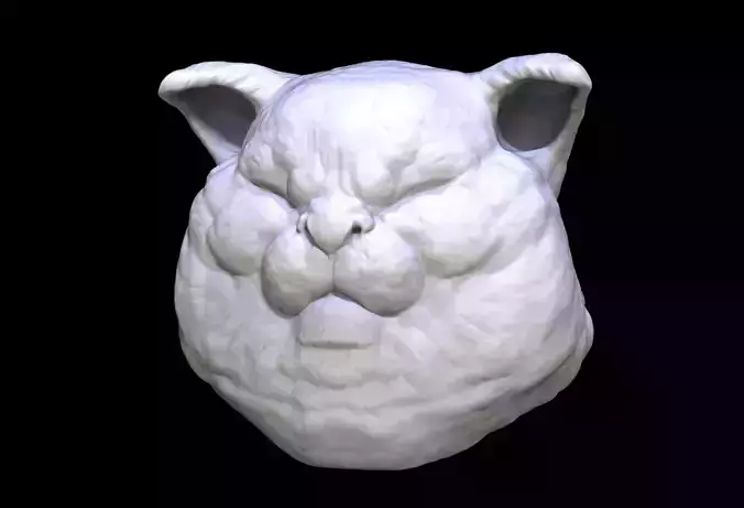 Korin Cat head Sculpt