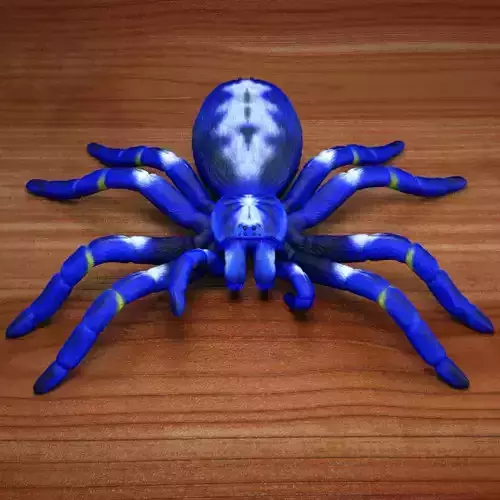 Tarantula - Gooty Sapphire Spider - Poecilotheria Metallica 3D model