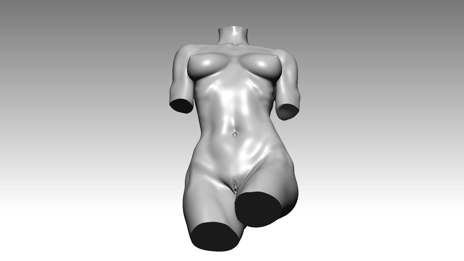 Figure wooman torso 3D model_8