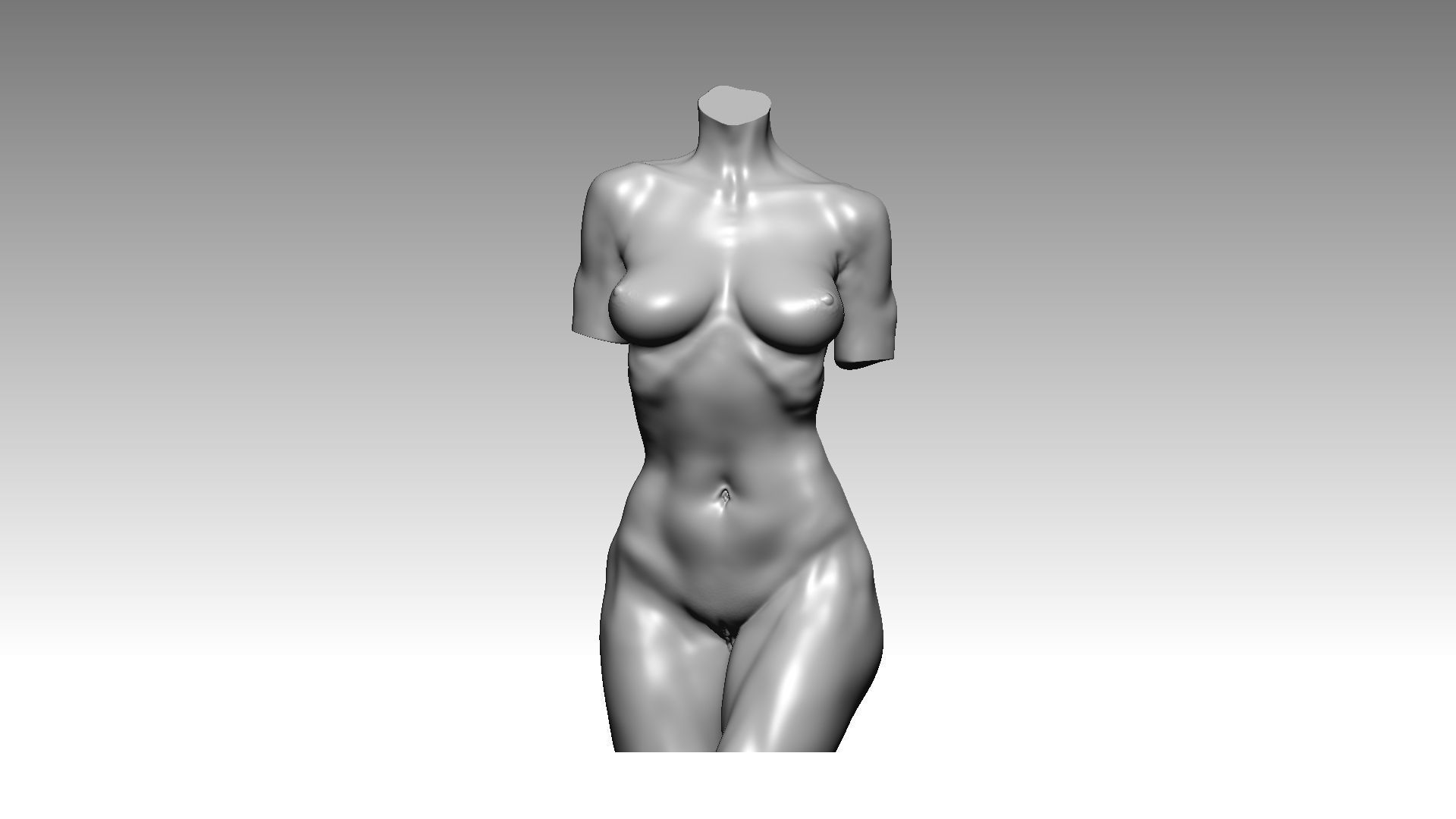 Figure wooman torso 3D model_2