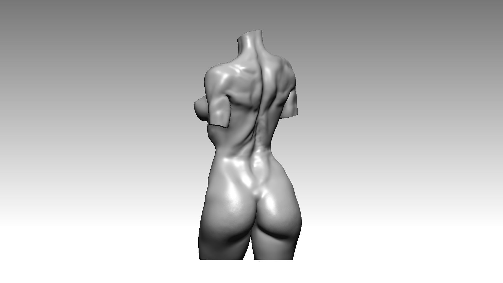 Figure wooman torso 3D model_6