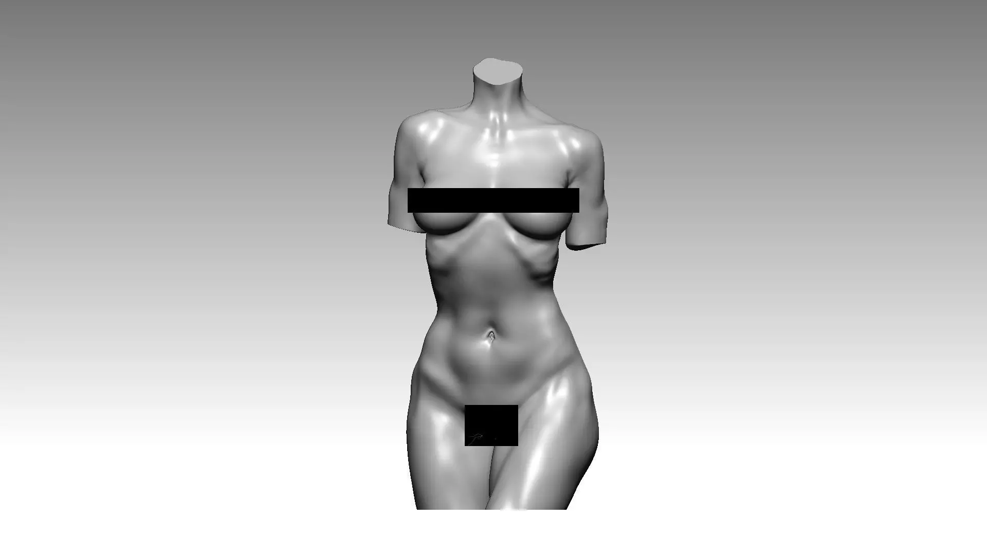 Figure wooman torso 3D model_0