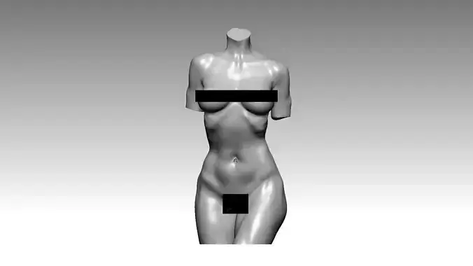 Figure wooman torso