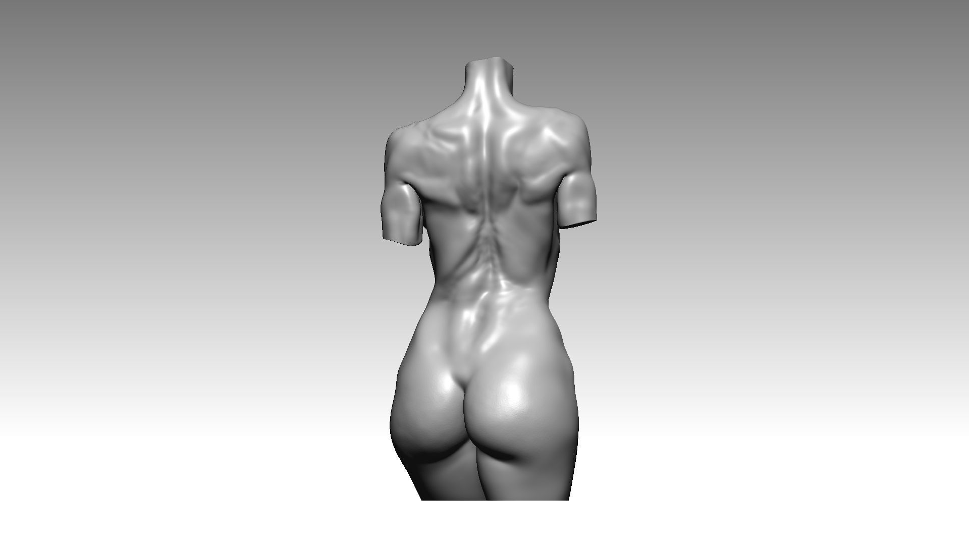Figure wooman torso 3D model_5