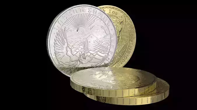 12 Silver and Gold Coins Collection