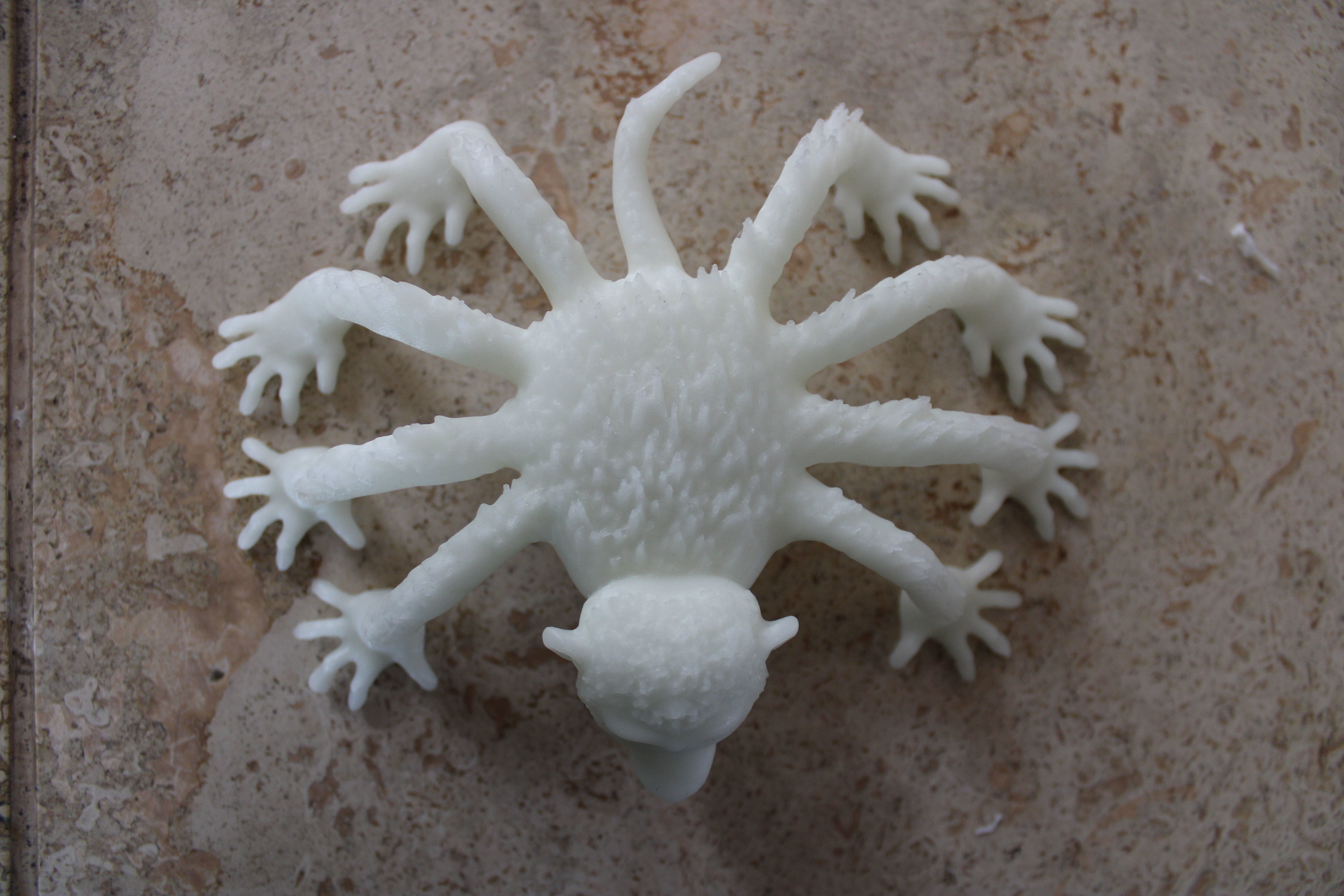 Spider Monkey 3D print model_4
