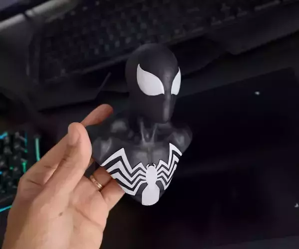 Spiderman - Back in Black 3D print model