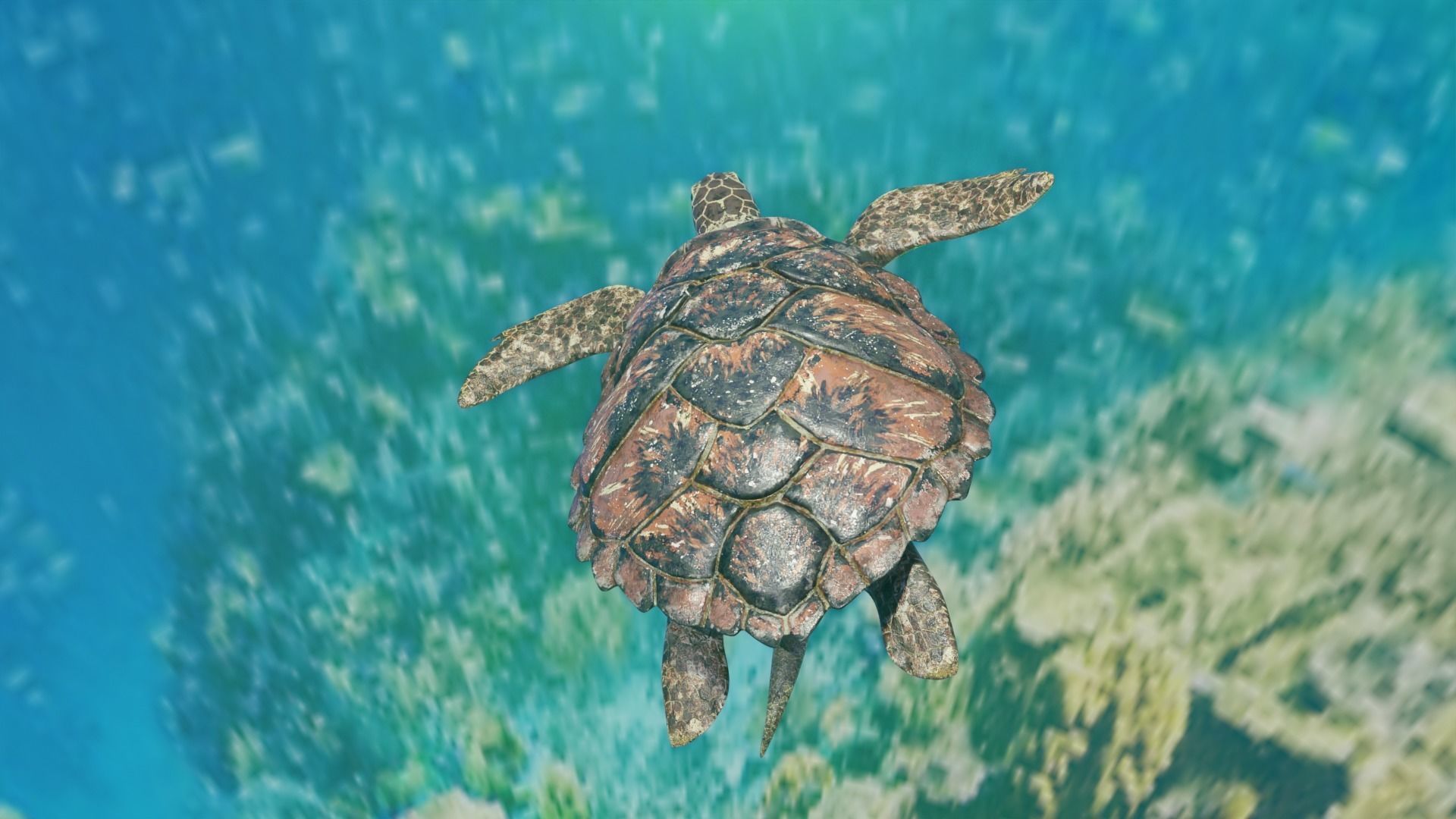 Sea Turtle Animated Low-poly 3D model_3