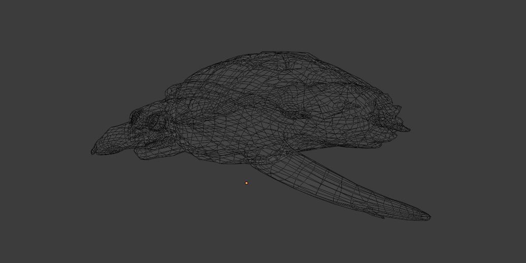 Sea Turtle Animated Low-poly 3D model_16