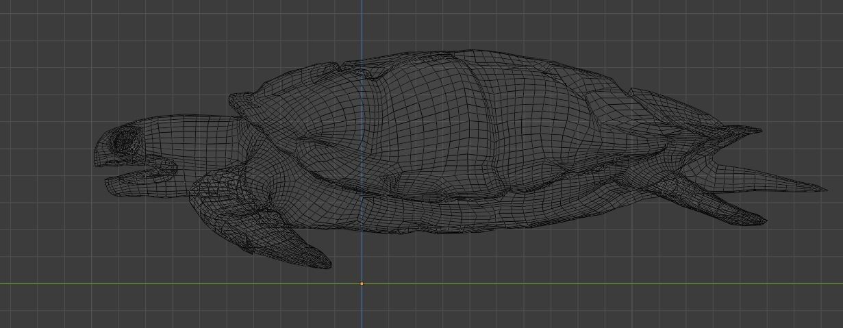 Sea Turtle Animated Low-poly 3D model_21