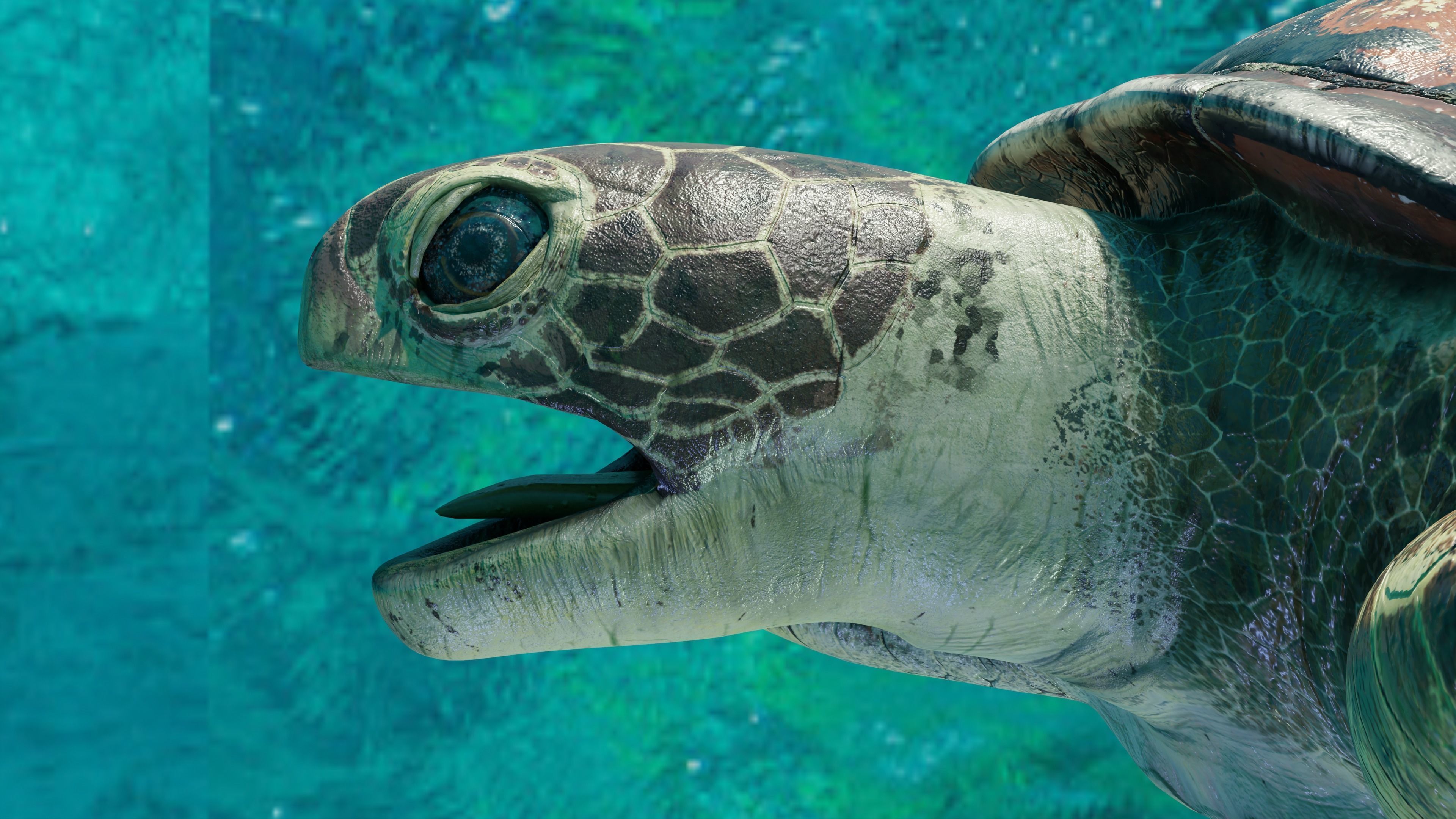 Sea Turtle Animated Low-poly 3D model_6