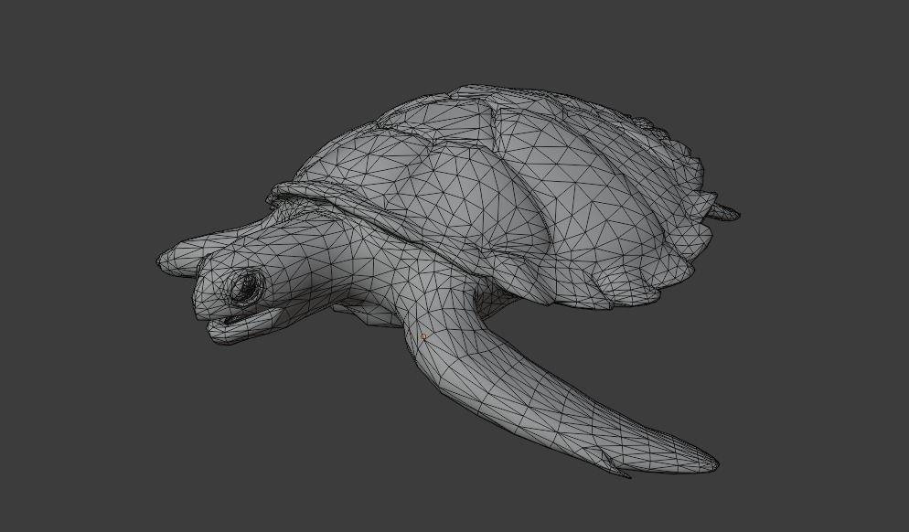 Sea Turtle Animated Low-poly 3D model_23