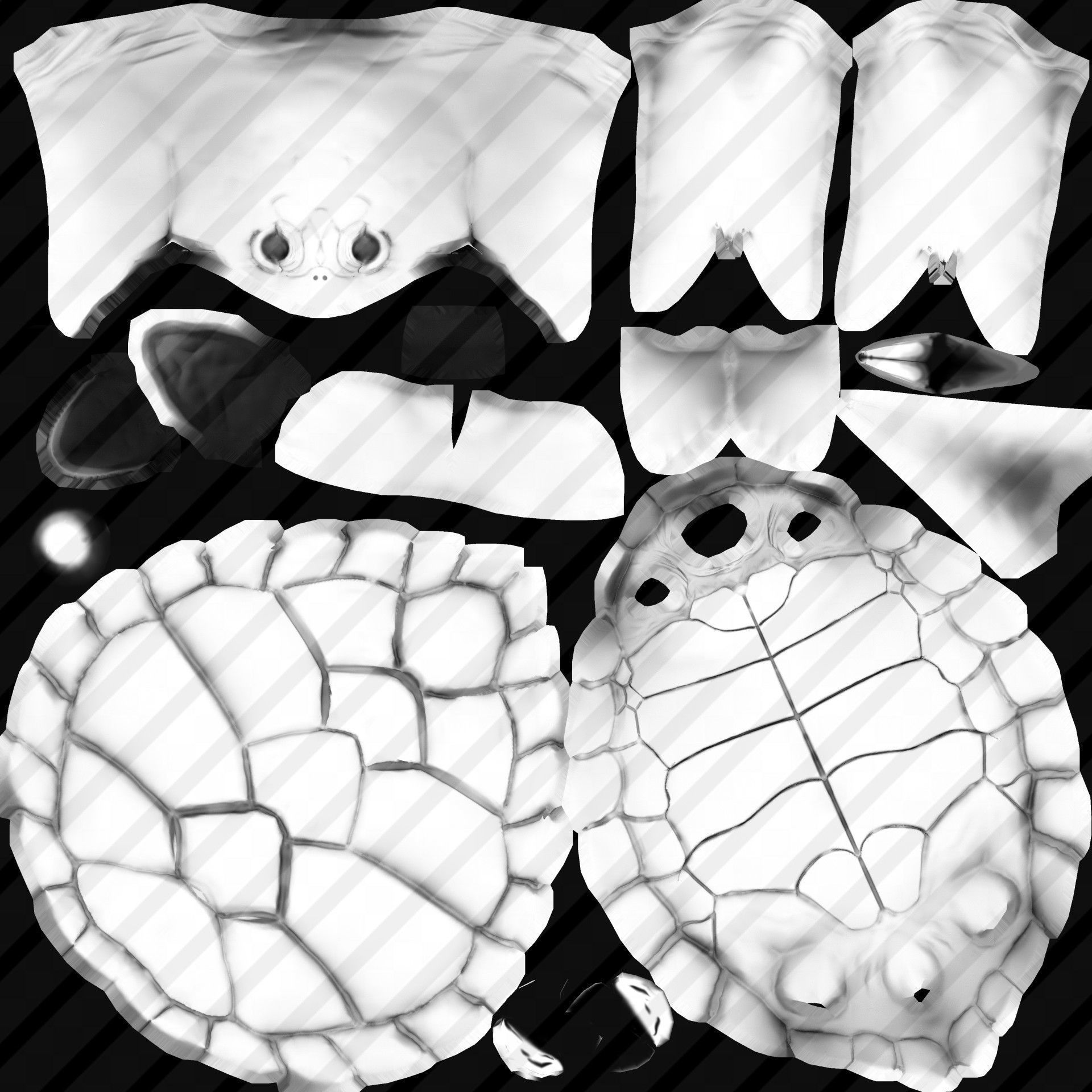 Sea Turtle Animated Low-poly 3D model_37