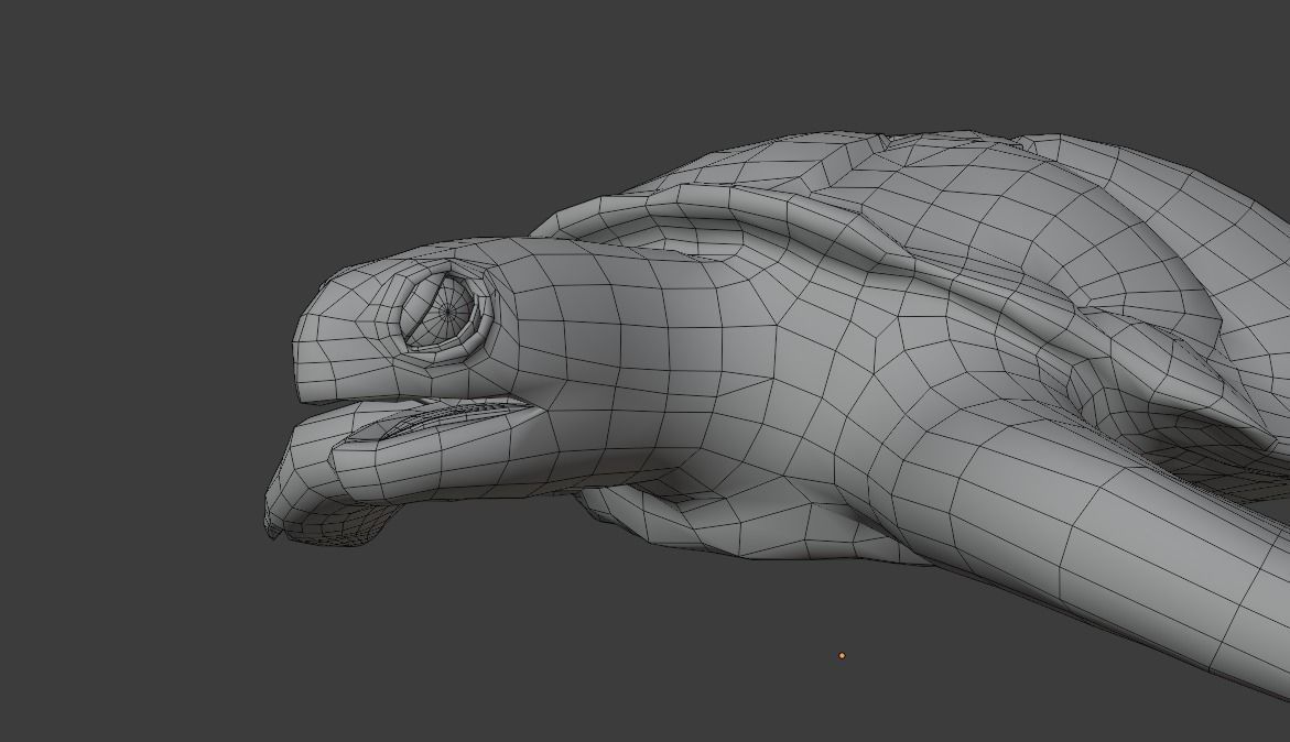 Sea Turtle Animated Low-poly 3D model_12