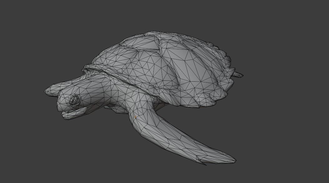 Sea Turtle Animated Low-poly 3D model_26