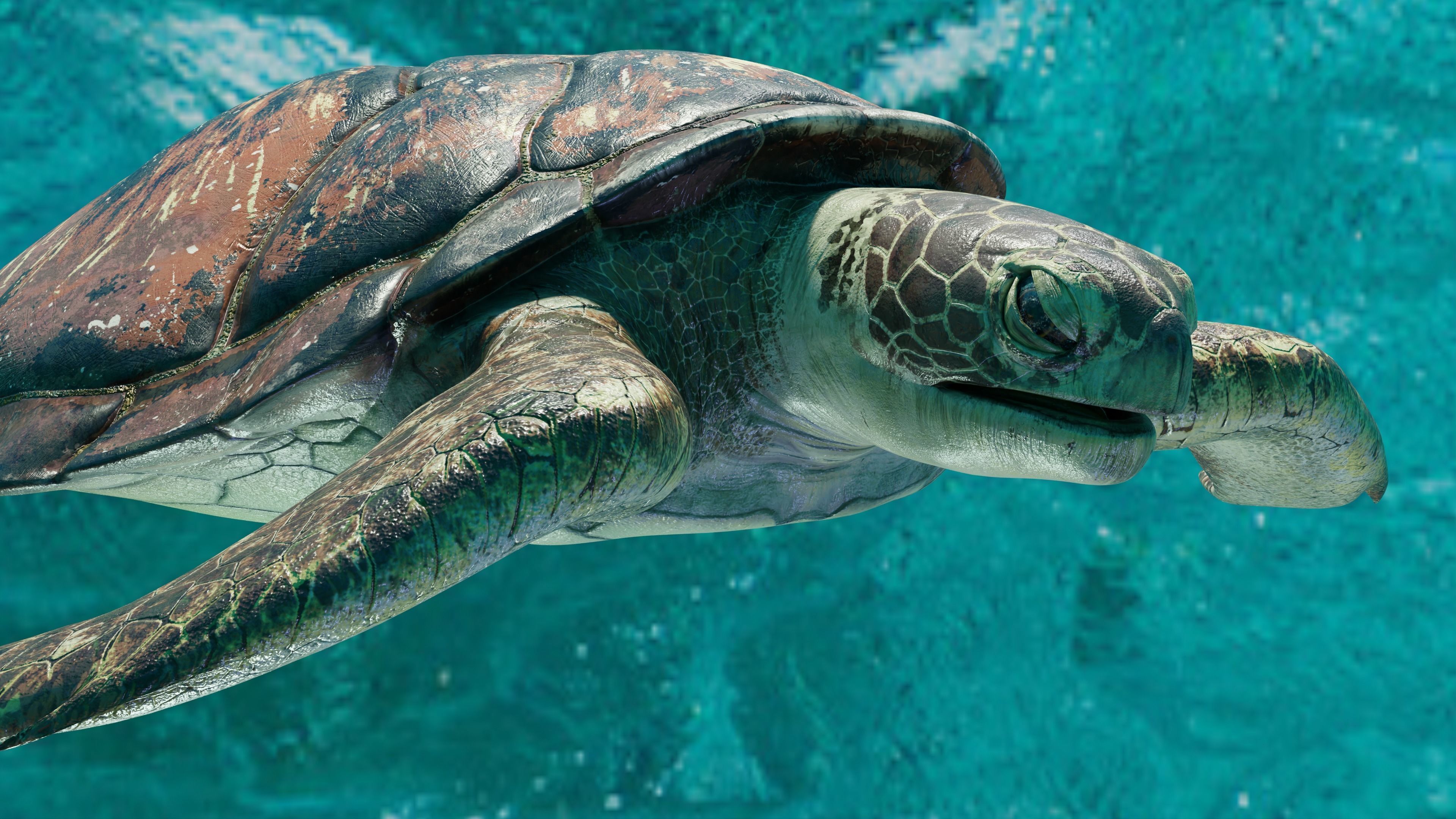 Sea Turtle Animated Low-poly 3D model_8