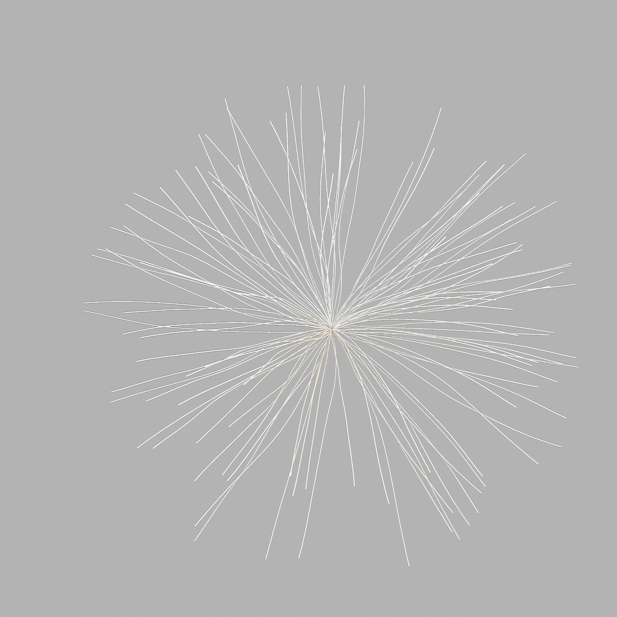 Dandelion V2 3D model_2