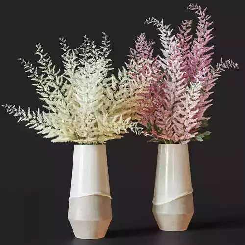 Flower Set 039 Astilbe