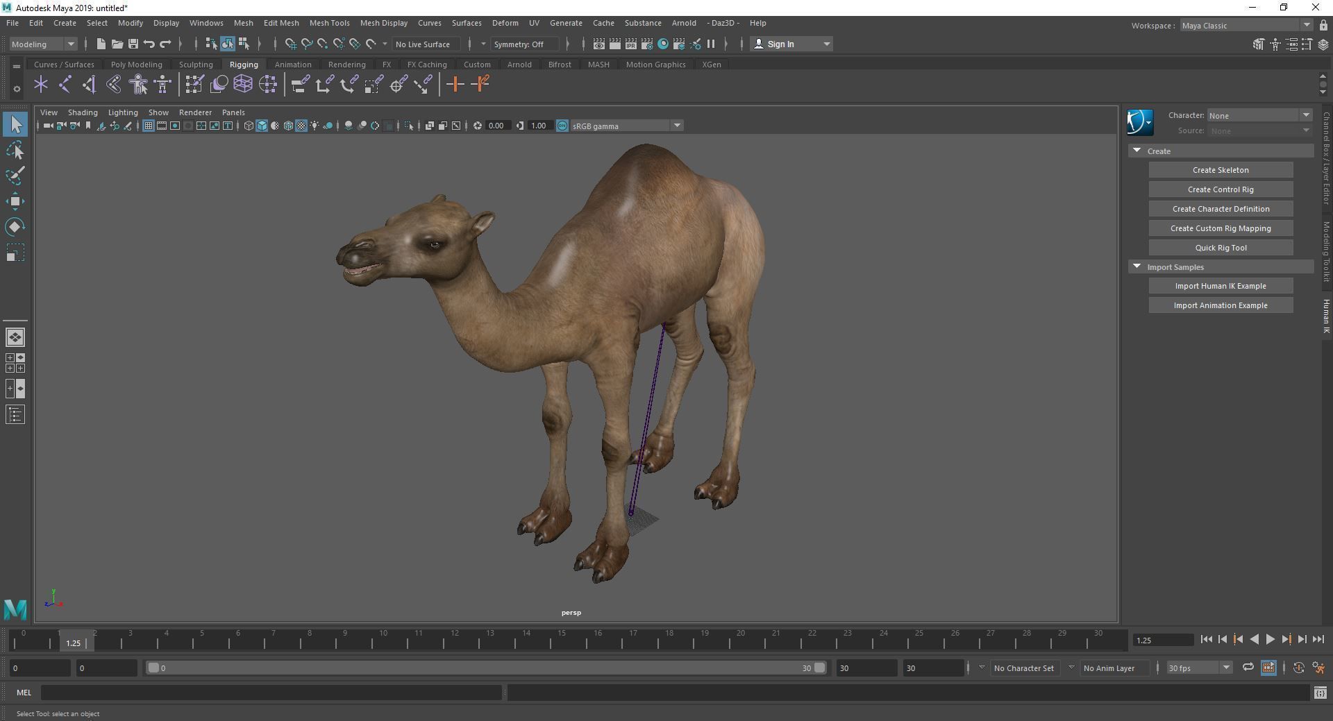 Camel 3D model_13