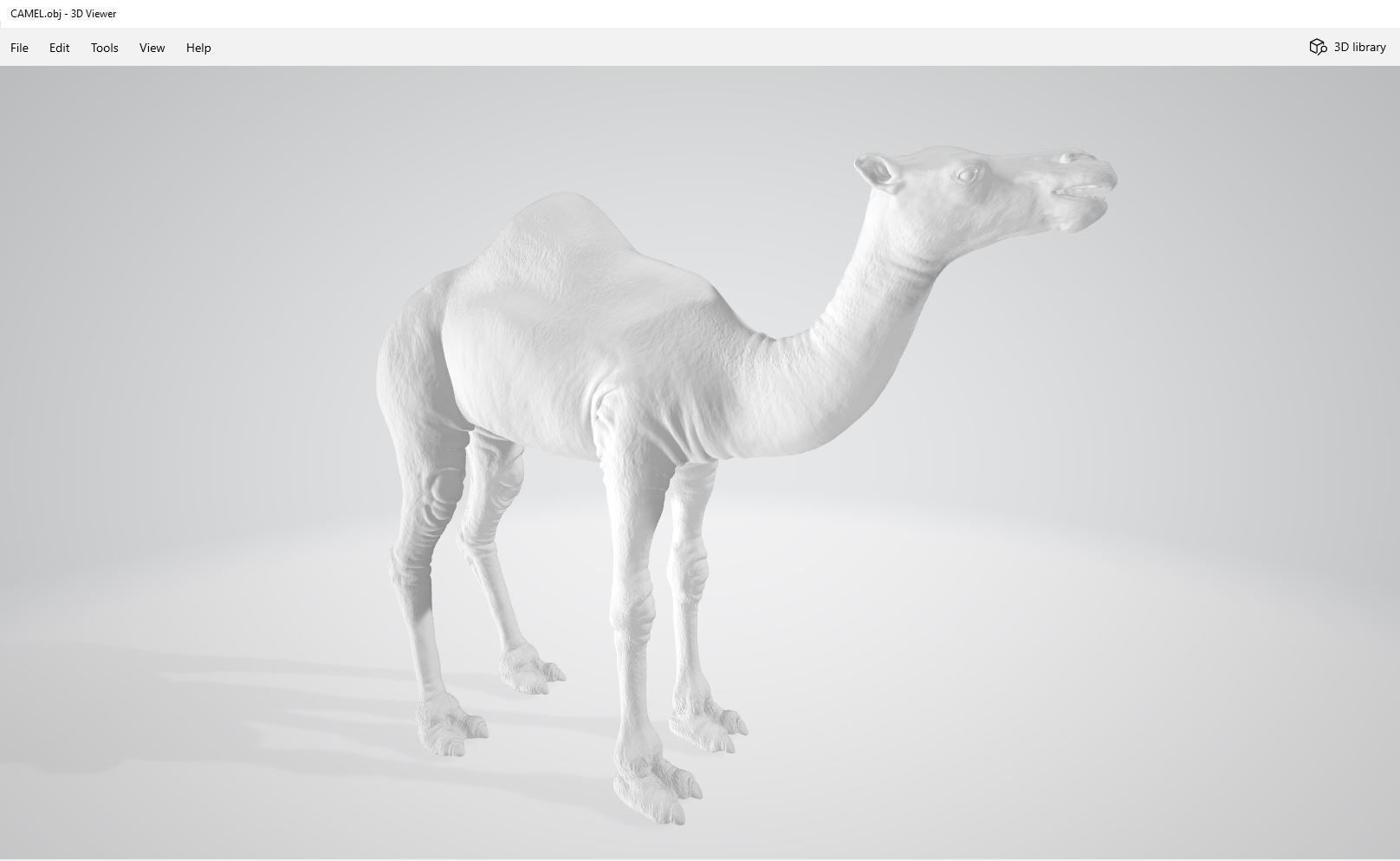 Camel 3D model_17