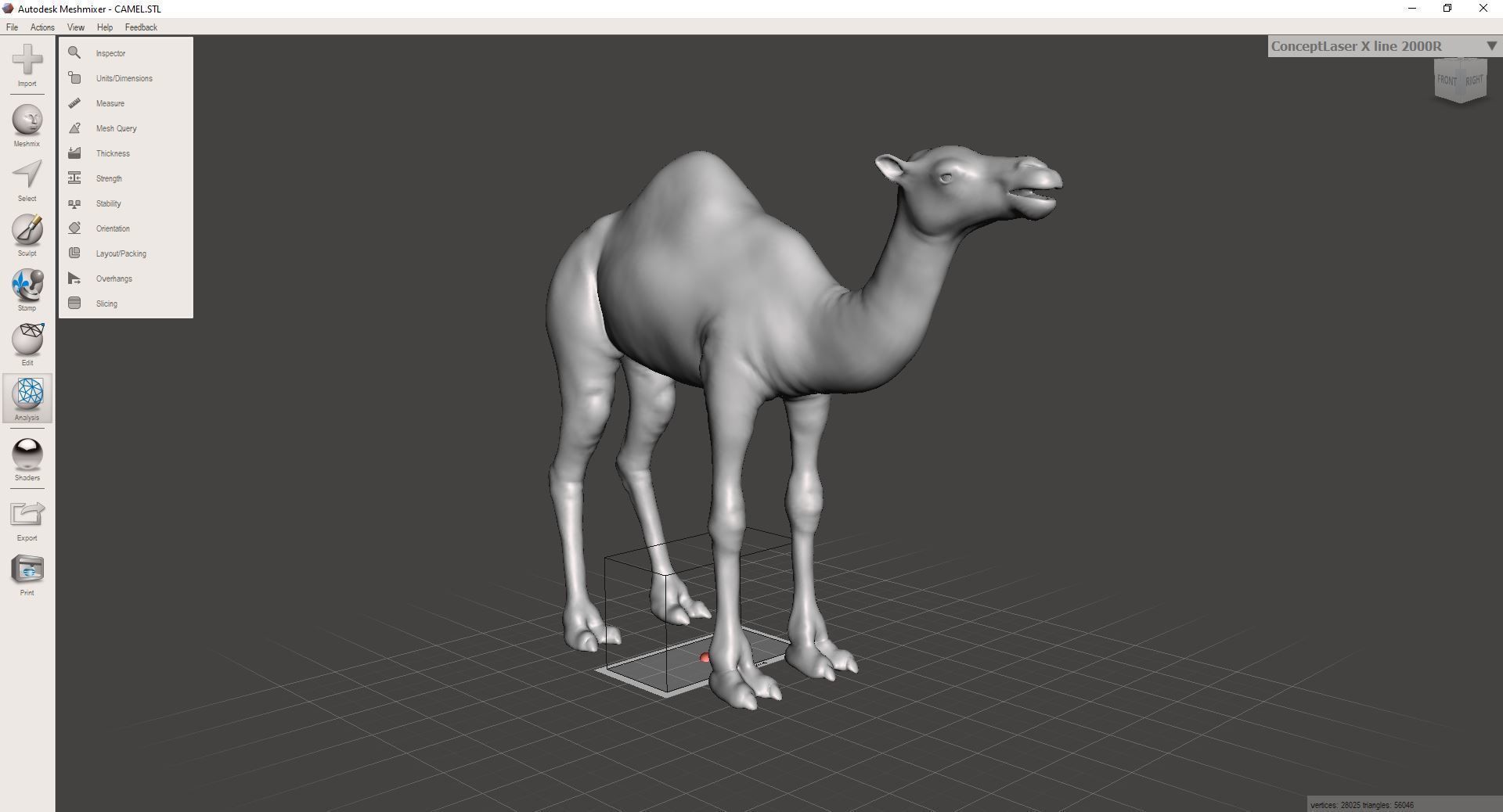 Camel 3D model_15