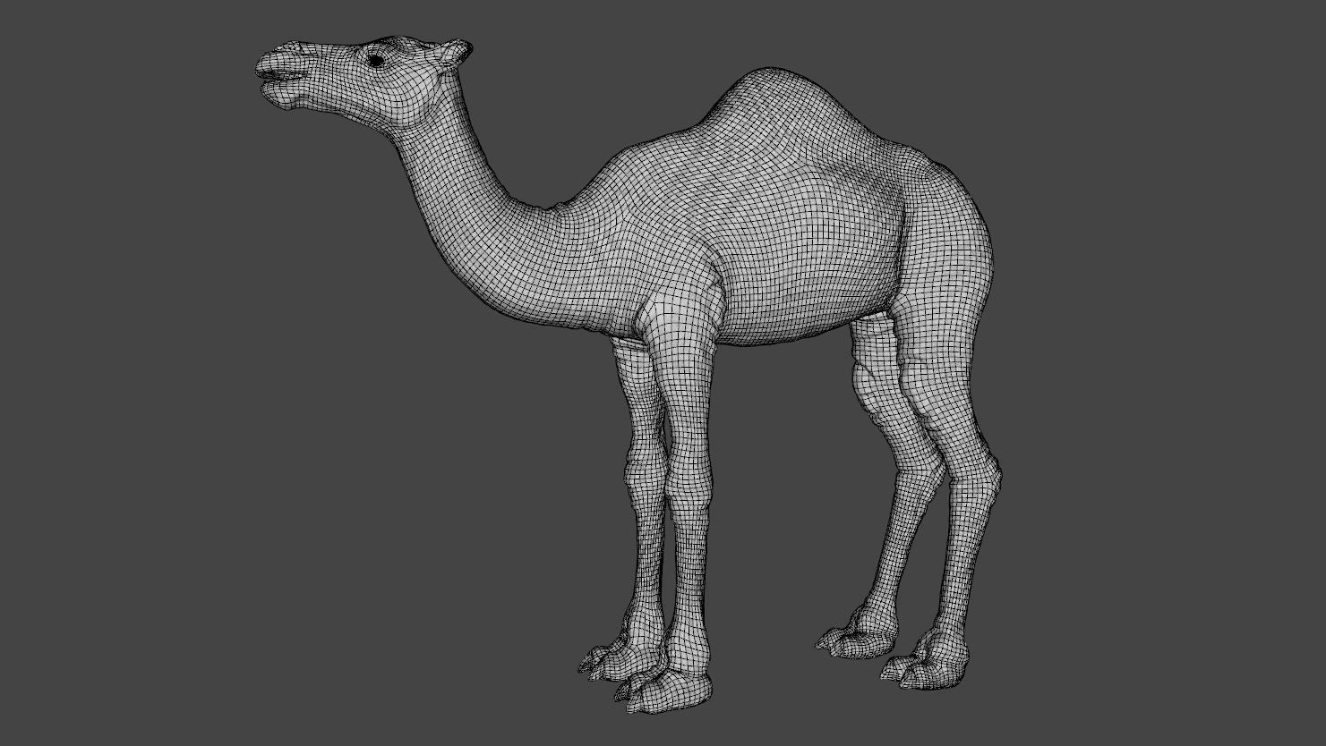 Camel 3D model_9