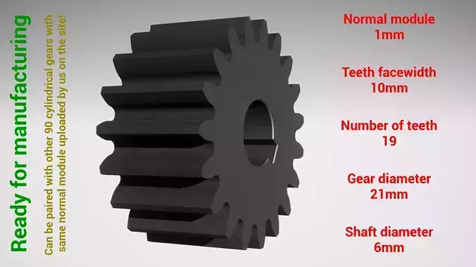 Cylindrical gear - paired - z19 m1 D21 d6 3D print model