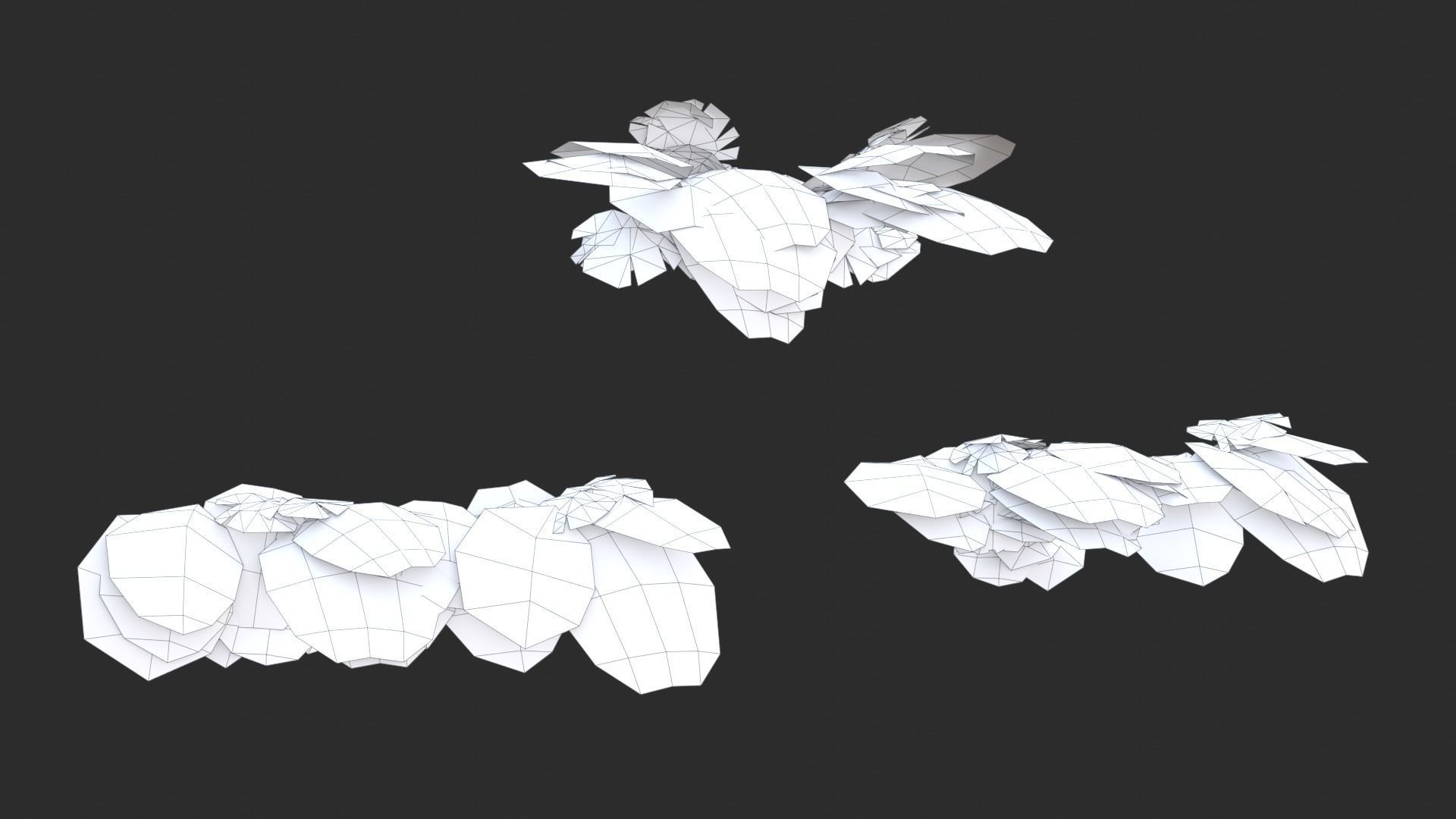 Monstera Plant Set Low-poly 3D model_12