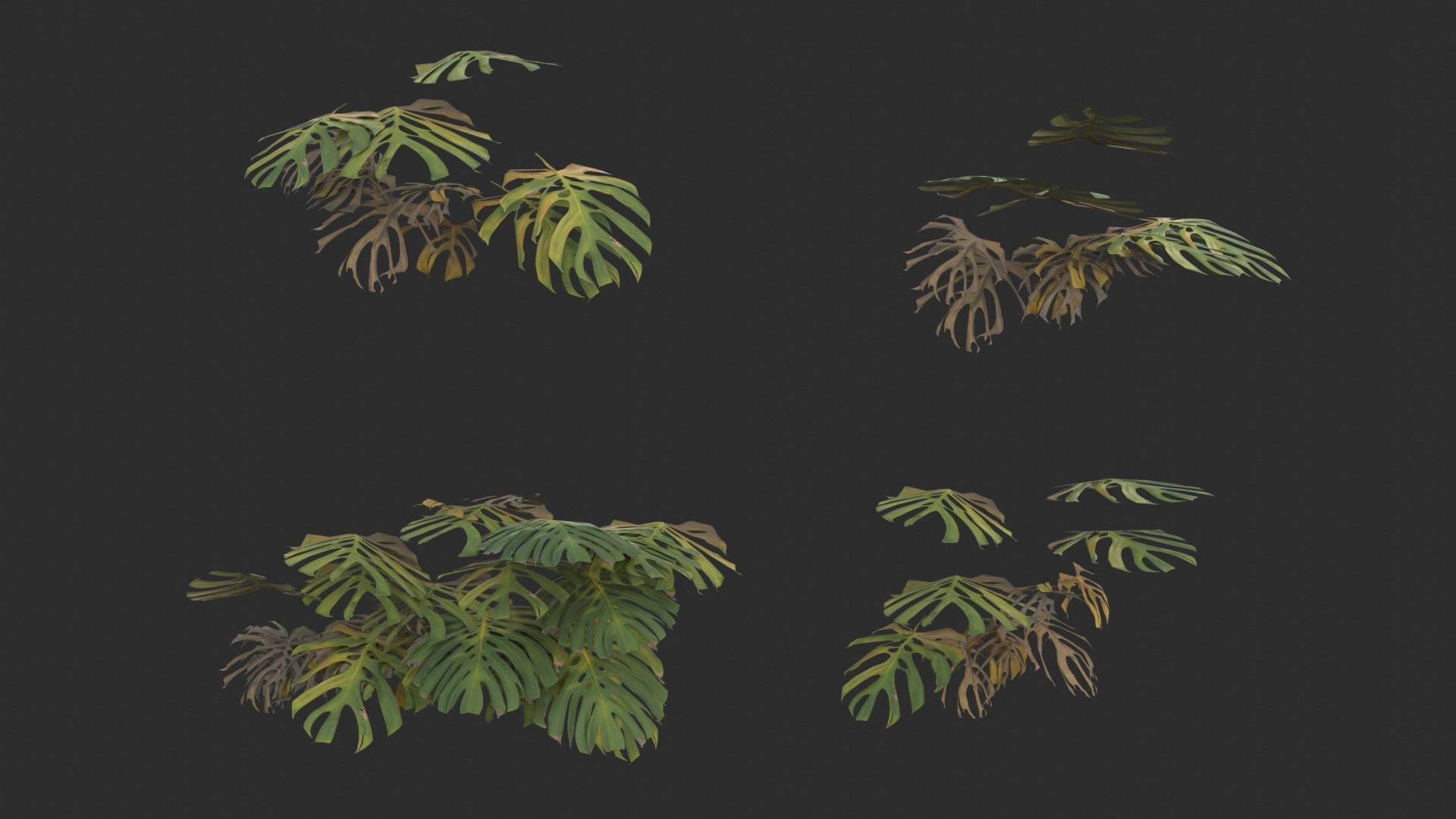 Monstera Plant Set Low-poly 3D model_5