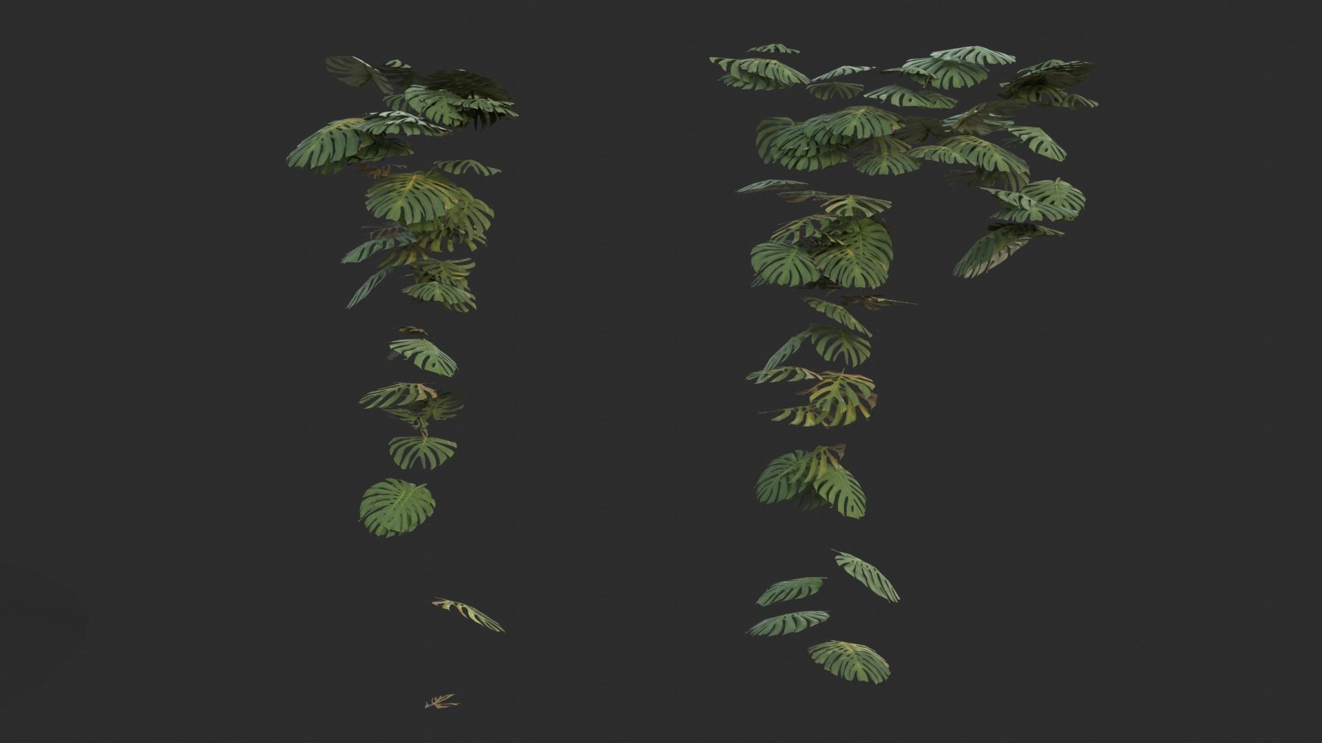 Monstera Plant Set Low-poly 3D model_7
