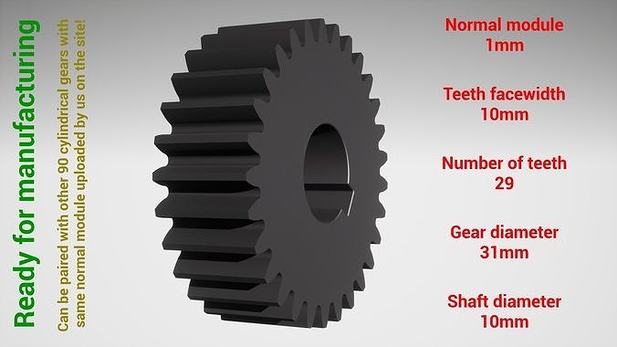 Cylindrical gear - paired - z29 m1 D31 d10 3D print model