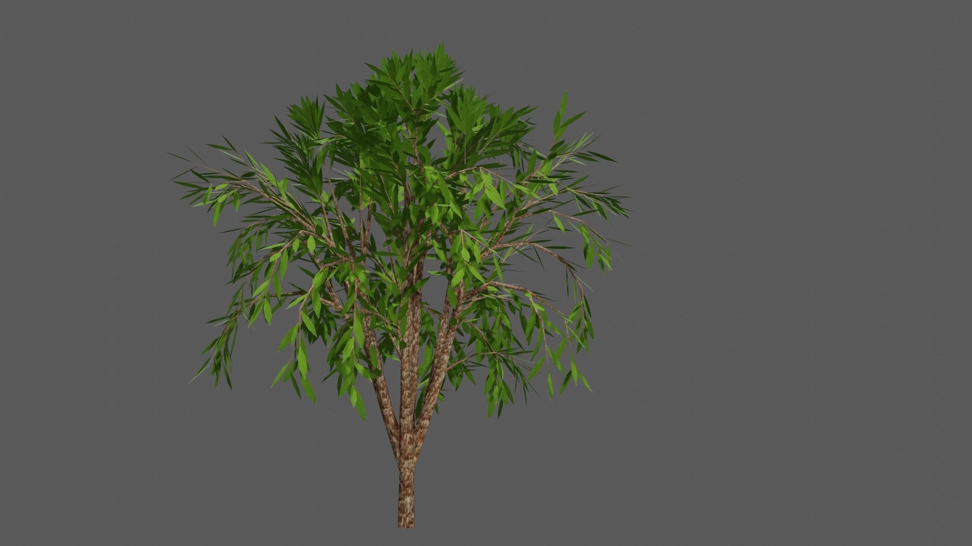 Season Tree Pack 3D model_11