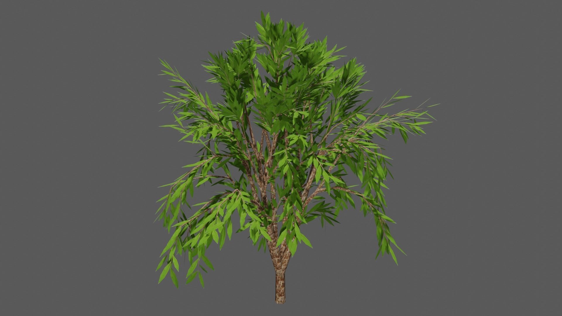 Season Tree Pack 3D model_10