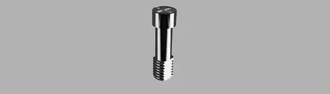 Cross-recessed Screw 3D print model