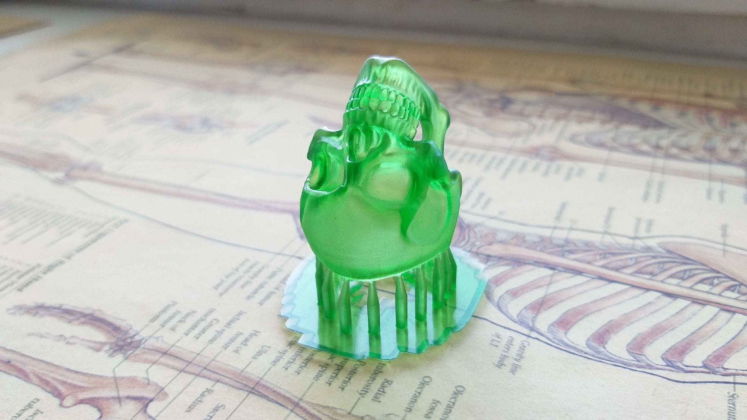 Ring Mr Skull 3D print model_6