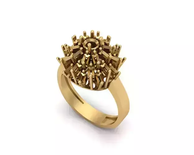 Jewelry ring 147