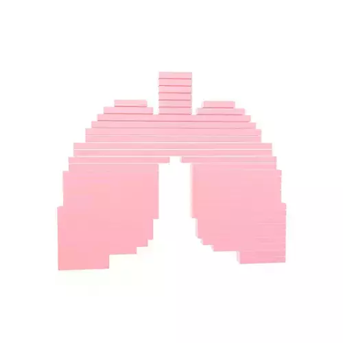 Pixel Line Lung Symbol v1 001